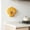 Orange, variant on Xhegex Storage Box with Fresh-keeping Cover, Wall Mounted Organization Solution for Kitchen or Home, Sealed and Waterproof, Space-Saving Design