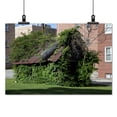 thumbnail image 2 of Print: House Covered With Vines In Tuscumbia, Alabama, 2010, 2 of 4