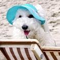 thumbnail image 2 of Gorro para perros al aire libre Vodafulgir, grande, rosa, con protección solar refrescante, 2 of 4