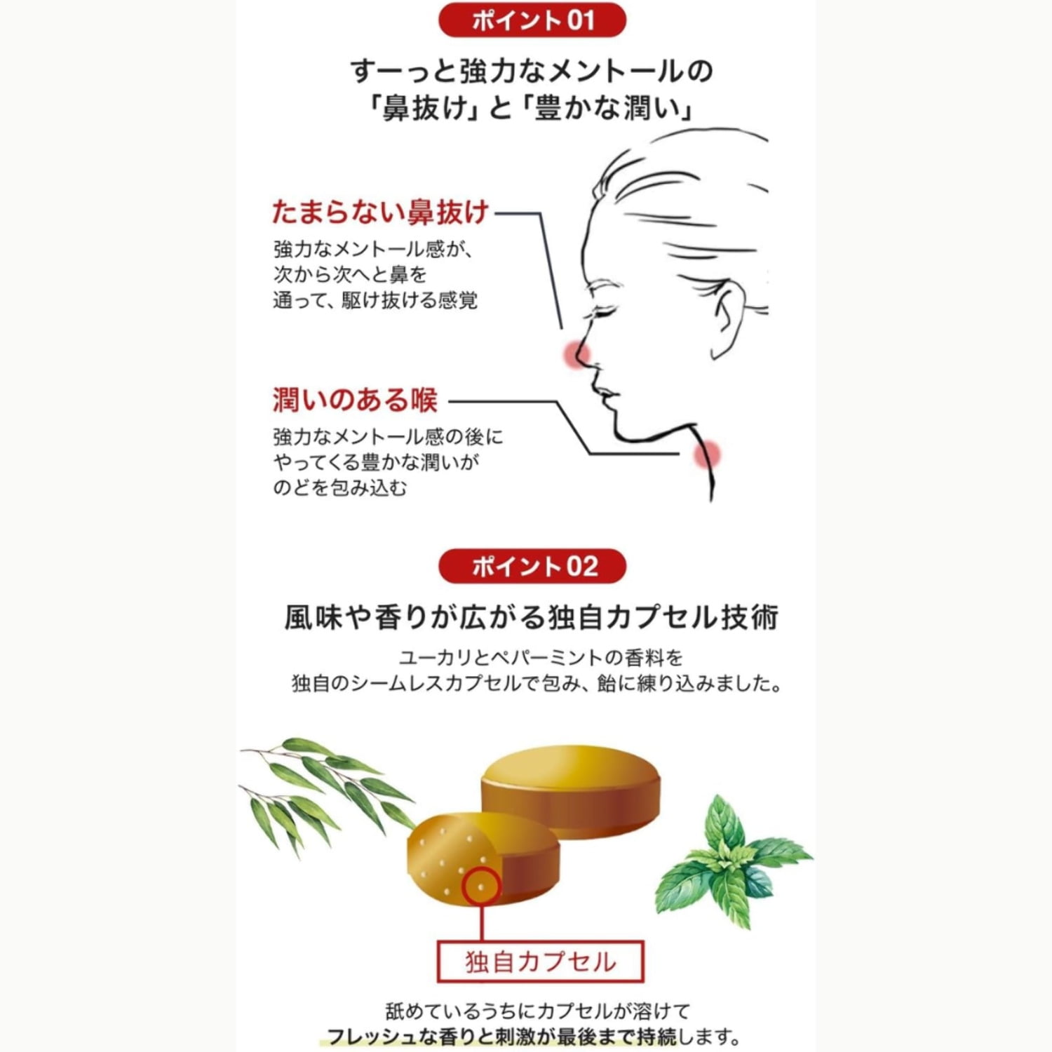 Morishita Jintan Sweet Tea Throat  Nose Candy 217g – Individually Wrapped Share Pack – Made in JAPAN - Tokyo Sakura Mall