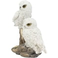 thumbnail image 4 of Ebros Mystical Two White Snowy Baby Owlets Perching On Tree Branch Statue 7"Wide, 4 of 4