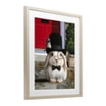 thumbnail image 2 of Stupell Industries Eclectic Lord Bunbury Rabbit Birch Framed Print Under Glass, 13 x 16, by Lucia Heffernan, 2 of 8