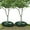 Green, variant on NOGIS 2 Pack Tree Watering Ring Tree Watering Bag 10 Gallon Slow Release Plastic Drip Irrigation Water Pouch Automatic Drip System for Planting Gardening Trees and Shrubs, 23.6 Inch (Green)