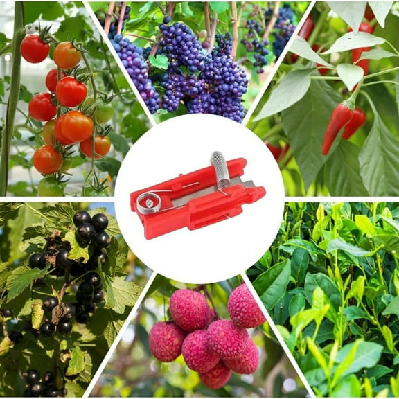 EZPXFCI Multifunctional Gardening Thump 2025 New Gardening Picking Finger Thumb Cutter Garden Finger Fruit Garden Orchard Hand Tools For Gardeners Picking Fruit(2PC)