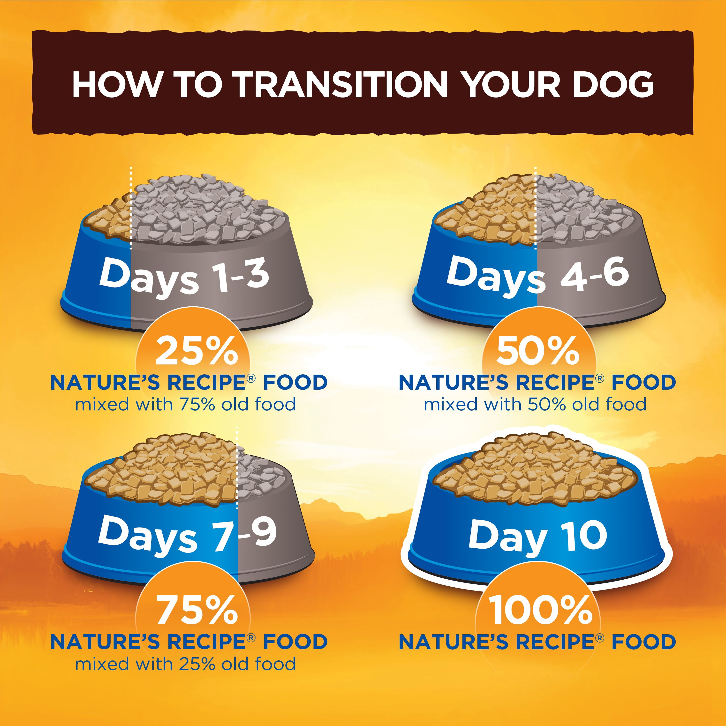 nature's recipe healthy skin dry dog food