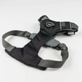 thumbnail image 4 of Alpha Pak - Everyday Adventure Dog Harness, 4 of 5
