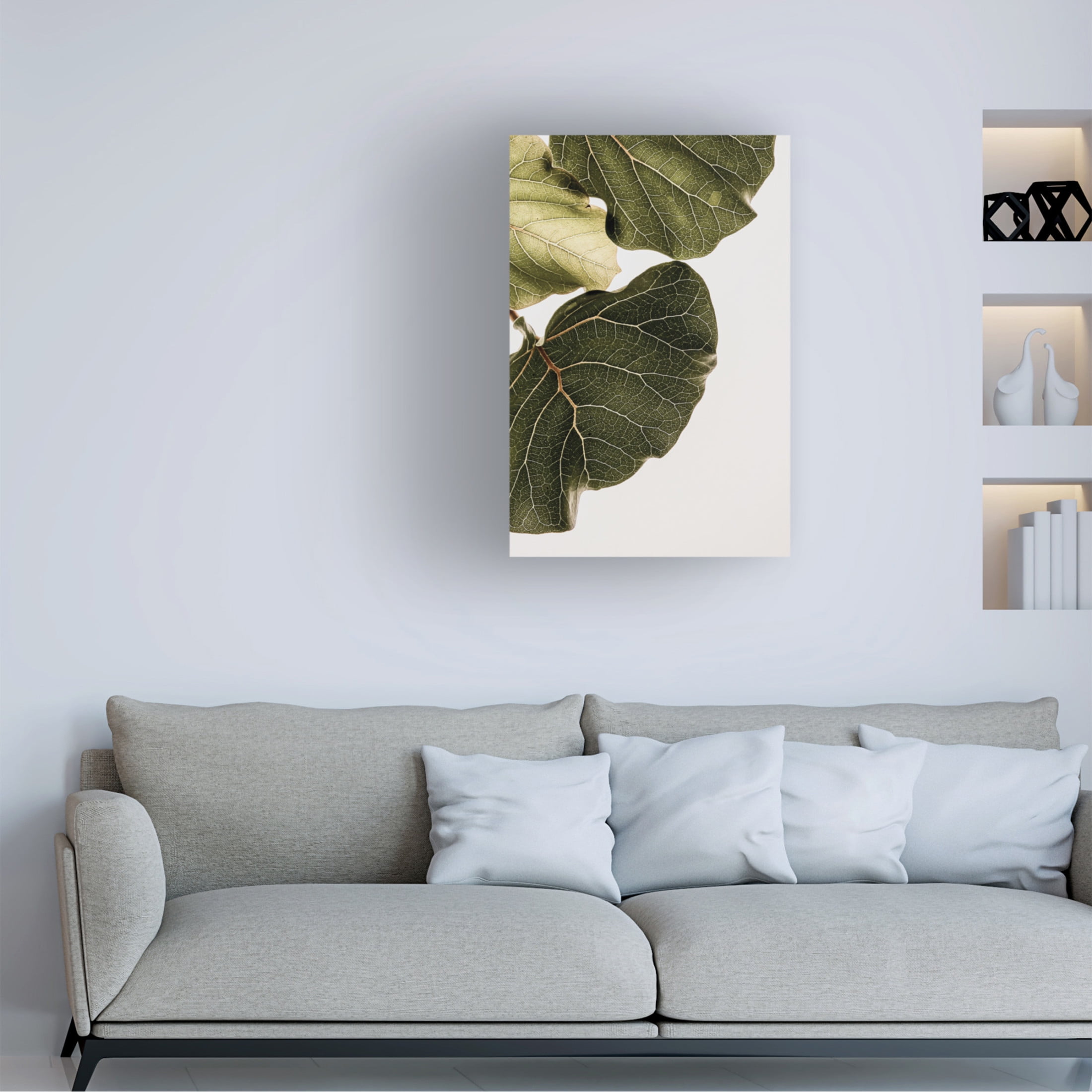Trademark Fine Art Shot by Clint Abutifolia No1 Canvas Wall Art