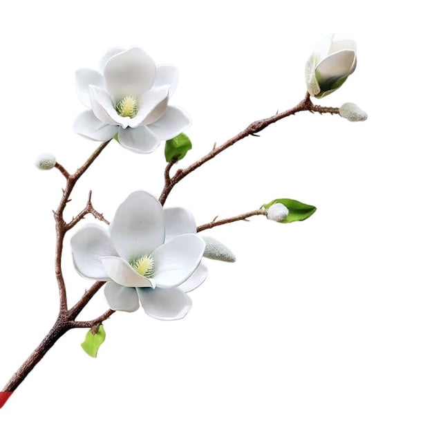Una flor de magnolia artificial, magnolia que se siente al tacto, adecuada for decoraciones de bodas y exhibición en el hogar, hecha de espuma EVA.