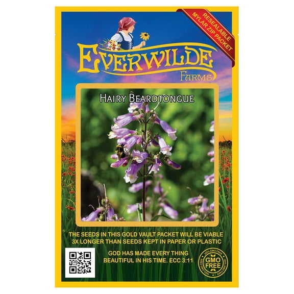 Everwilde Farms - 1250 Hairy Beardtongue Native Wildflower Seeds - Gold Vault Jumbo Bulk Seed Packet