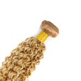 thumbnail image 4 of Hair Bundles WuvusNM 613 Curly Wave P27/613 Brazilian Remy, 4 of 6