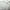 White, variant on Cool Cotton Size Blanket Lightweight Breathable Spring Blanket Of Rayon Derived From For Hot Sleepers Luxury Throws For Bed Couch And