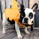 thumbnail image 4 of KAKOWELY Chaleco salvavidas de natación para mascotas, traje de baño de nailon para perros en piscinas interiores, chaleco de seguridad para cachorros, 4 of 5