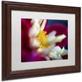 thumbnail image 2 of Trademark Fine Art "A Different Kind of Dahlia" Canvas Art by Kurt Shaffer, White Matte, Wood Frame, 2 of 4