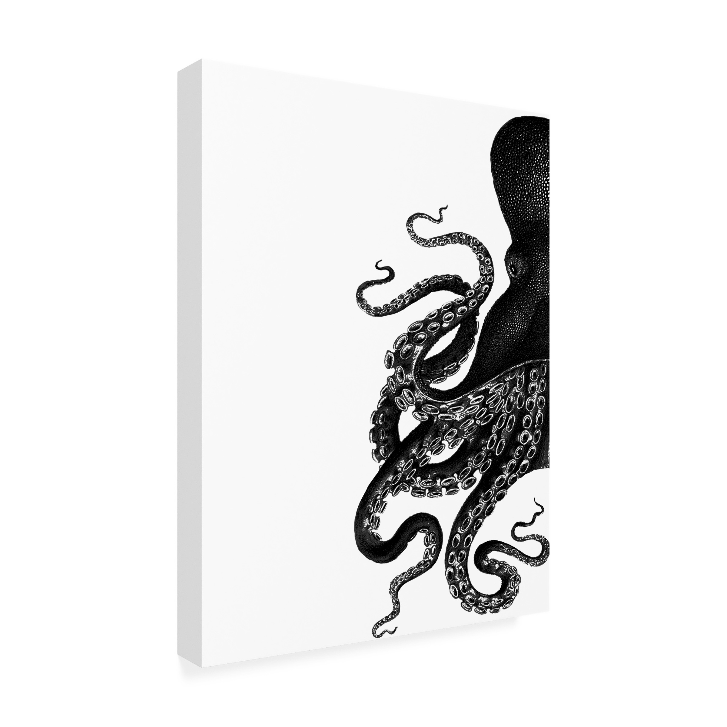 Trademark Fine Art Fab Funky Octopus Black And White A Canvas Wall Art - 24x32