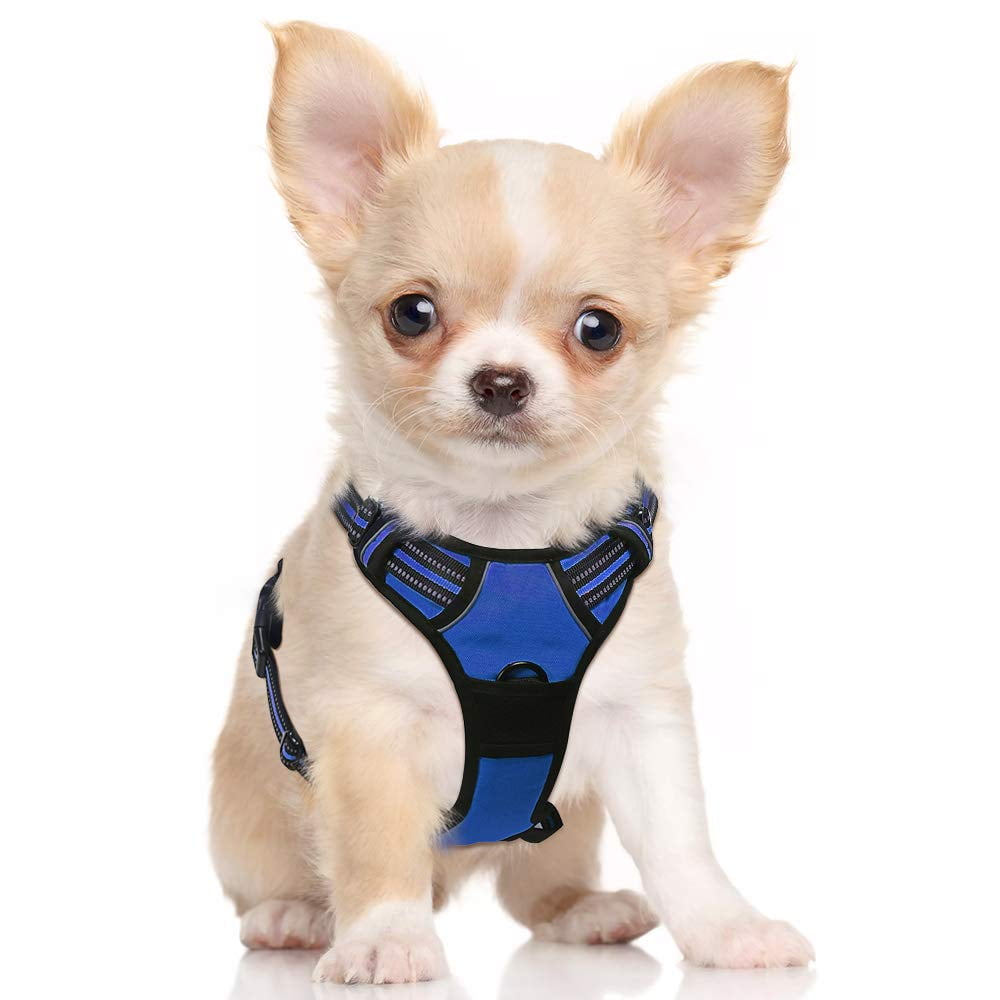 Rabbitgoo Dog Harness NoPull Adjustable Safe Comfort Pet Vest Easy