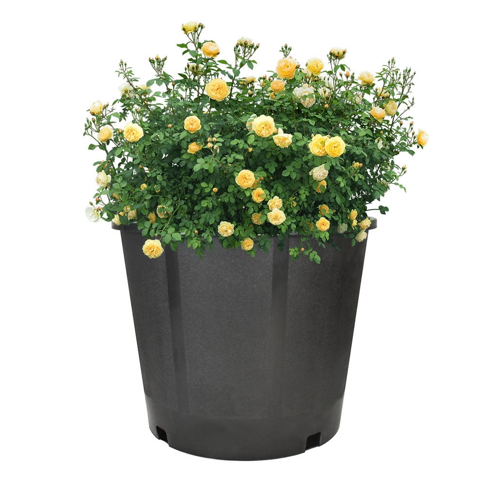 LABLT 3gal Heavy Duty Premium Black Plastic Nursery Plant Container Garden Planter Pot
