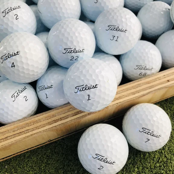 Pre-Owned 24 Titleist Pro V1 Used Golf Balls in 5A Grade Condition - Shaggy Golf Balls
