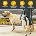 thumbnail image 3 of Dog Rear Leg Lifting Harness Comforable Soft Padded Senior Dog Leg Support Brace, 3 of 10