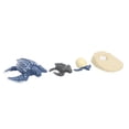 thumbnail image 1 of LAFGUR Simulation Sea Growth Cycle Model Life Cycle Kid Early Educational Toys, 1 of 8