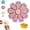 Pink-1pc, variant on Magnetic Flower with Petal Clips, 3D Printed Snack Bag Sealer with Detachable Petals, Fridge Magnet Food Storage Clip for Chips, Cereal, Bread, Kitchen Organization