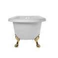 thumbnail image 2 of Stratford 60 Inch Acrylic Classic Clawfoot Tub - Wall Faucet Drillings - Lion Paw Feet, 2 of 2