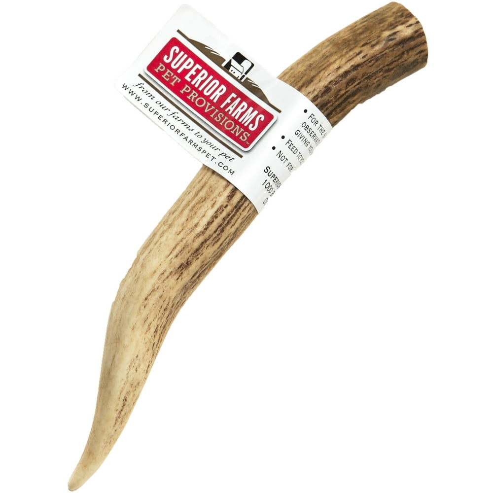 Superior Farms Pet Provisions Deer Antlers Medium, venison antlers