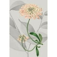 thumbnail image 3 of Vision Studio 11x14 Black Modern Framed Museum Art Print Titled - Botanical Arrangement I, 3 of 5