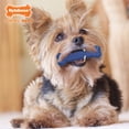 thumbnail image 6 of Nylabone Flexi Chew Gumabone Textured Bone Dog Toy, Dog Chew Toy, Chicken Flavor, Small, 1 Count, 6 of 8