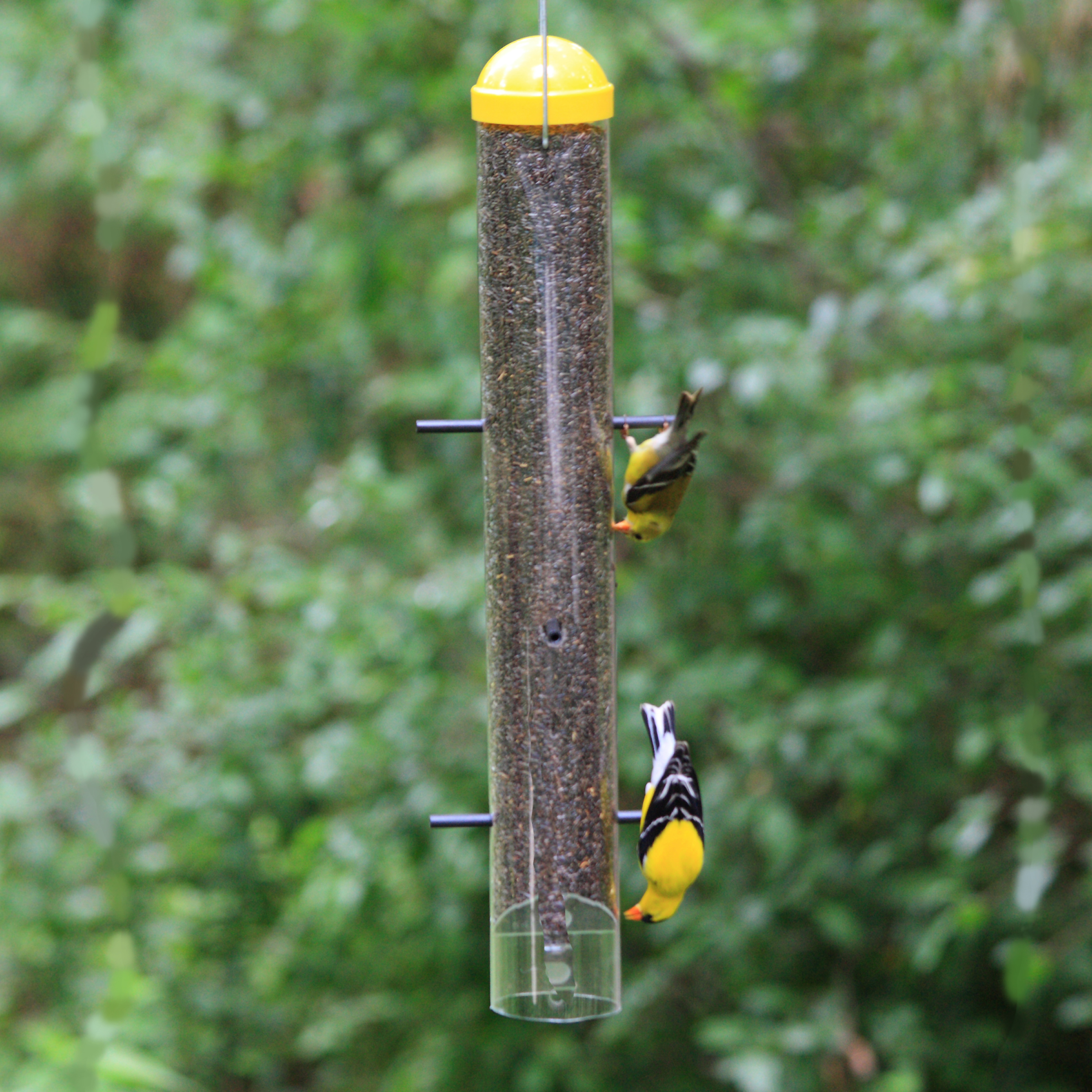 Perky-Pet Yellow Upside-Down Goldfinch Thistle Tube Feeder - 2 lb - image 3 of 7