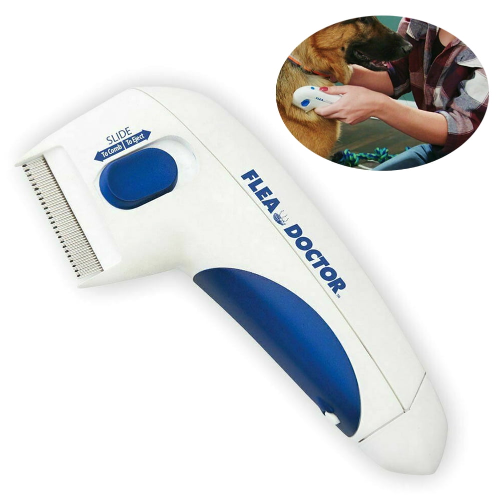 Battery Powered Electric Flea Comb for Cats Doctor Kuwait Ubuy
