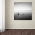 thumbnail image 4 of Trademark Fine Art "4 Herons" Canvas Art by Moises Levy, 4 of 4