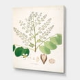 thumbnail image 3 of Designart ' Ancient Botanicals XVI ' Farmhouse Canvas Wall Art Print, 3 of 4