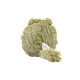 thumbnail image 2 of Juguete Ardilla Barrigon Fancy Pets, 2 of 5