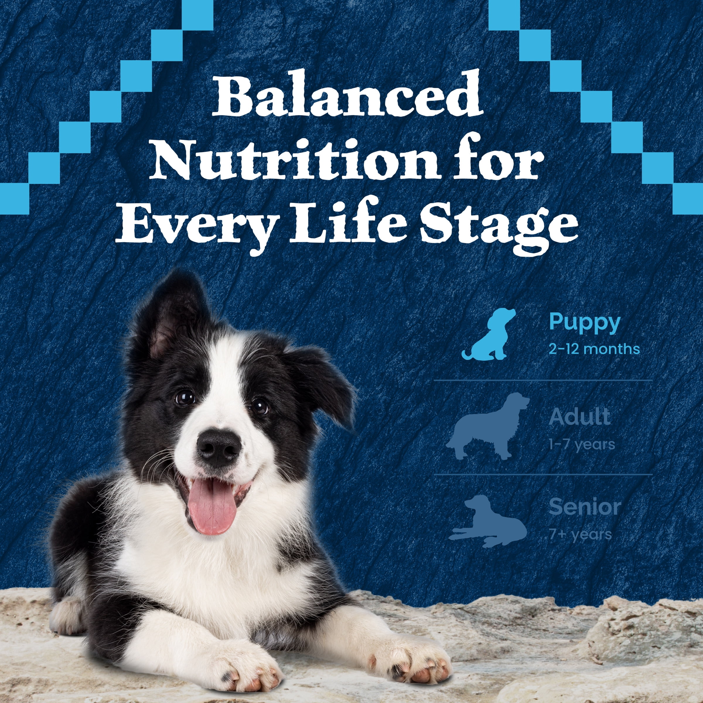 Blue Buffalo Wilderness Rocky Mountain Recipe Dry Puppy Food, Red Meat & Grains, 28-lb