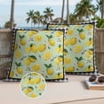 thumbnail image 2 of Summer Lemons Outdoor Pillow Covers Pack of 2 Farm Yellow Fruits Flowers Green Black Plaid Waterproof Throw Pillow Covers Decorative Cushion Cases for Patio Garden Tent Balcony Couch 20x20 inch, 2 of 9