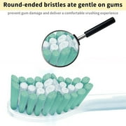 Replacement Brush Heads Compatible with Philips Sonicare E-Series HX7022 HX7001 Essence Xtreme Elite Advance and CleanCare Screw-On Toothbrush Handles, 6 Pack