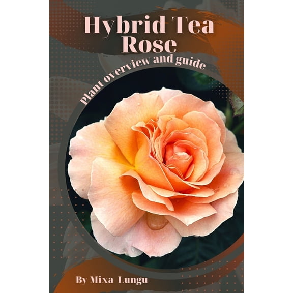 Hybrid Tea Rose: Plant overview and guide (Paperback)