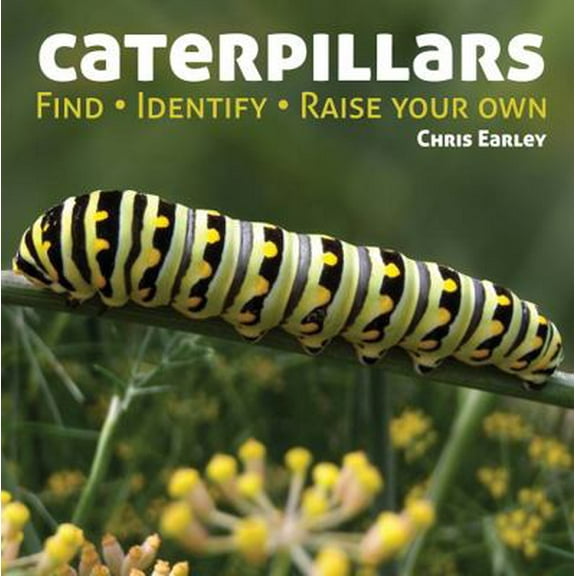 Pre-Owned Caterpillars: Find, Identify, Raise Your Own (Paperback) 1770851836 9781770851832