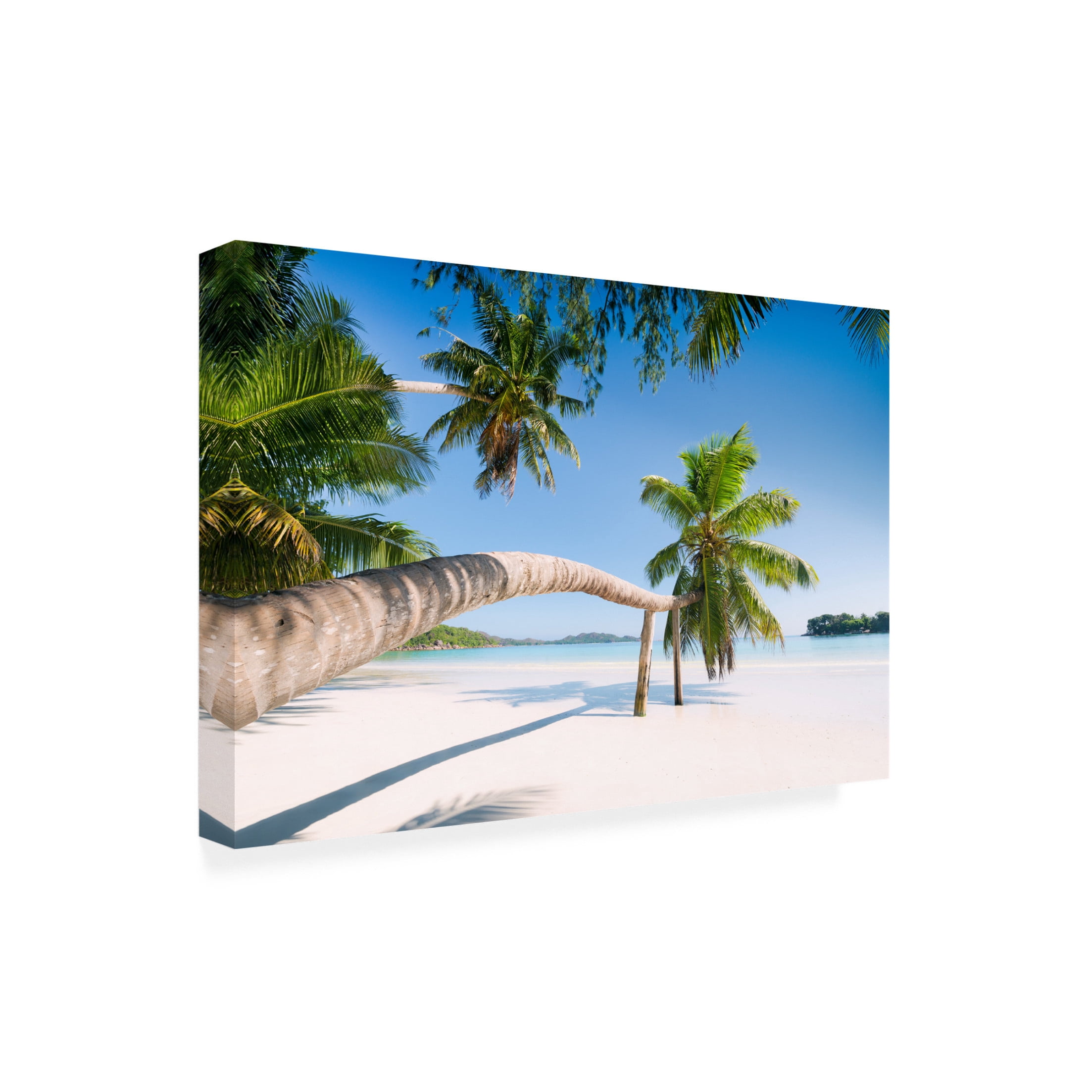 Trademark Fine Art Stefan Hefele Tropical Palm Canvas Wall Art