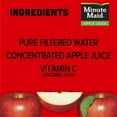Minute Maid 100 Apple Fruit Juice Drink, 10 fl oz, 6 Bottles