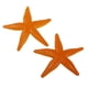 thumbnail image 4 of 8 piezas de plástico modelo de marinas fiesta en la playa bolsa de juguete relleno amarillo Zulema modelo de estrella de mar, 4 of 7