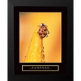 thumbnail image 2 of Frontline 12x14 Black Modern Framed Museum Art Print Titled - Purpose - Lady Bug, 2 of 5
