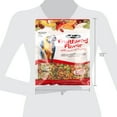 thumbnail image 4 of ZuPreem FruitBlend with Natural Fruit Flavors Large Breed Bird Food, 3.5 Lb, 4 of 5