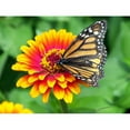thumbnail image 4 of Roll Out Butterfly & Bee Flower Garden Mat, 4 of 5
