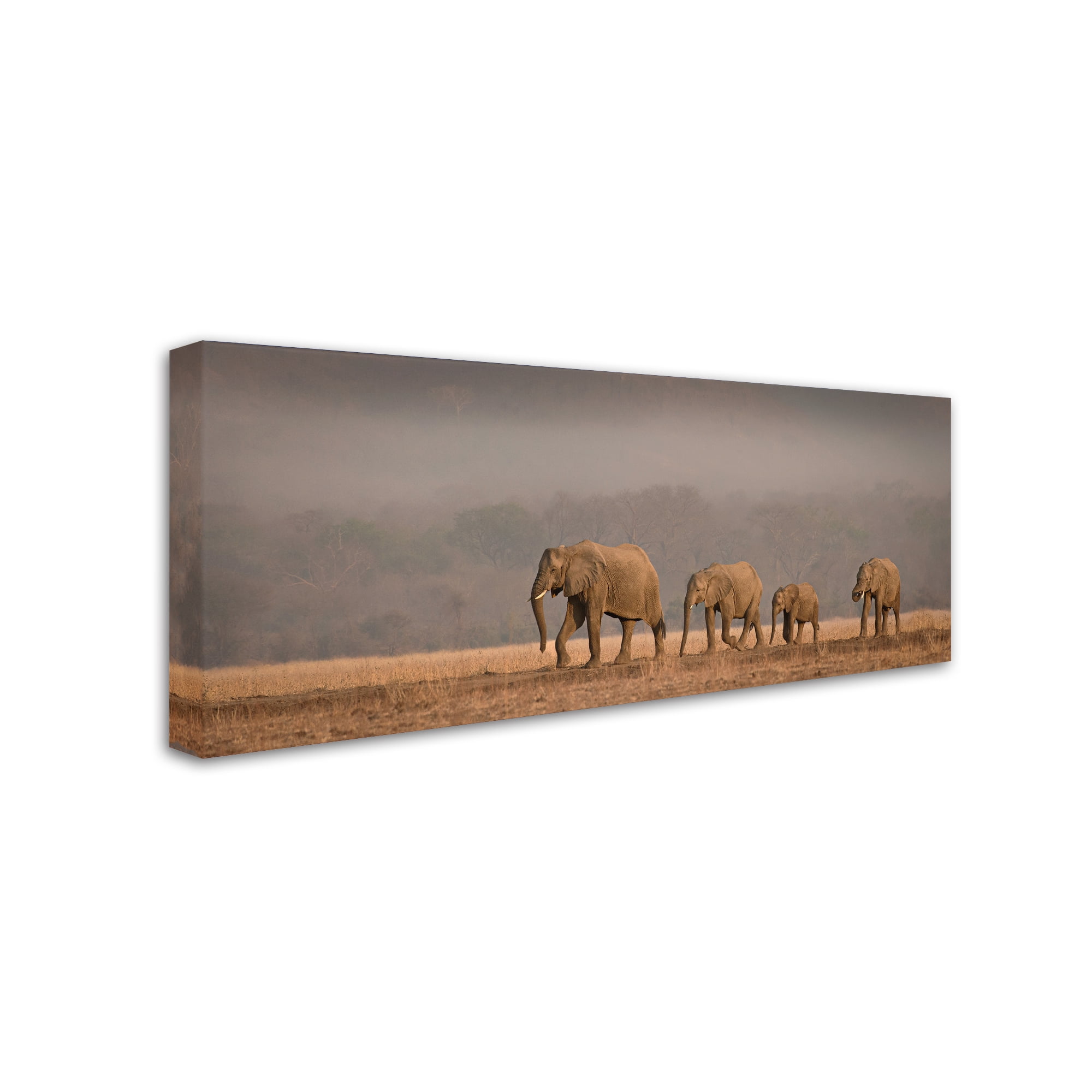 Trademark Fine Art 'Family Outing' Canvas Art by Peter O'Hara