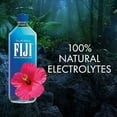 thumbnail image 4 of FIJI Natural Artesian Bottled Water 1 Liter / 33.8 Fl Ounce (Pack of 6), 4 of 5