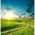 thumbnail image 2 of Summer Landscape with Green Wall Mural by Wallmonkeys Peel and Stick Graphic (48 in H x 46 in W) WM169915, 2 of 4