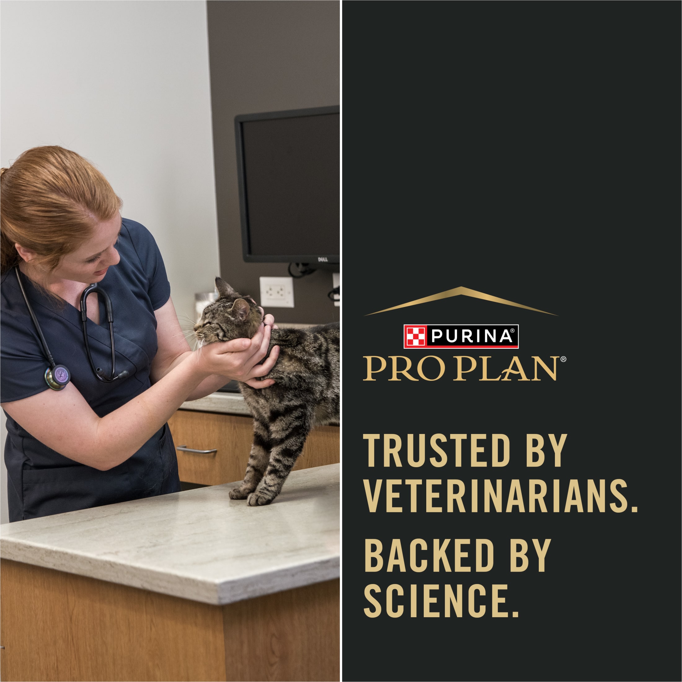 Purina Pro Plan Weight Management Chicken & Rice Cat Food photo 8