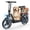 GT 10, variant on GWEIT Electric Scooter for Adults, Electric Scooter with Seat with 1000 Peak Motor, 25Mph, 30/45 Miles Range, 14" Foldable Escooter with Multiple Suspension