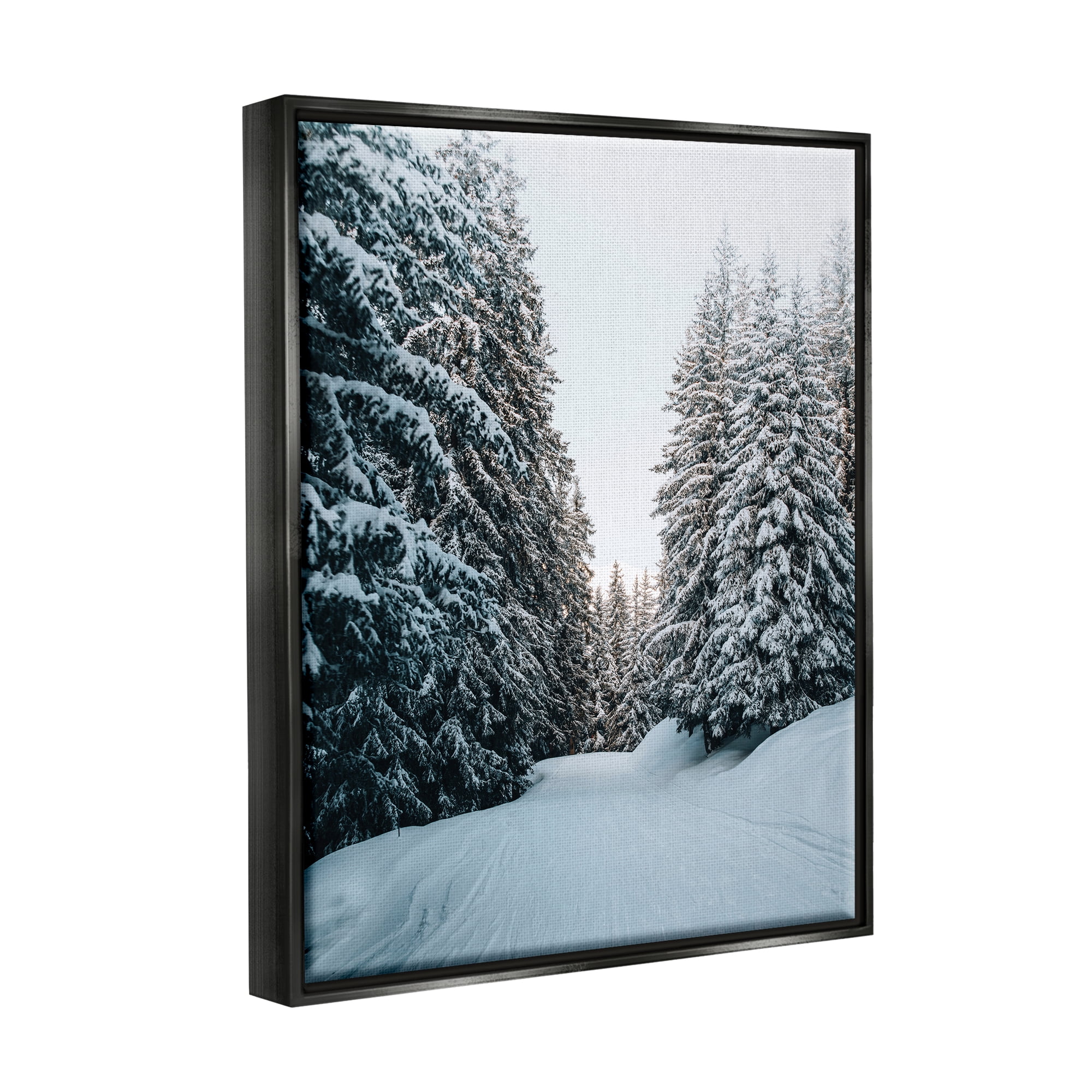 Stupell Industries Snowy Ski Slopes Landscape Photography Black Floater Framed Canvas Art Print Wall Art, 25 x 31